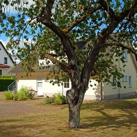 Sonnenhus - Ruegen Апартаменти