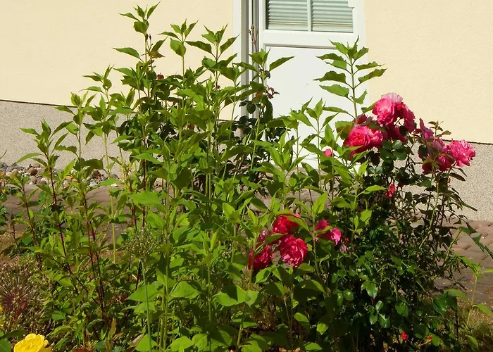 Sonnenhus - Ruegen *